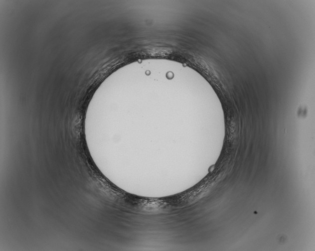 X0000095510321200801111419