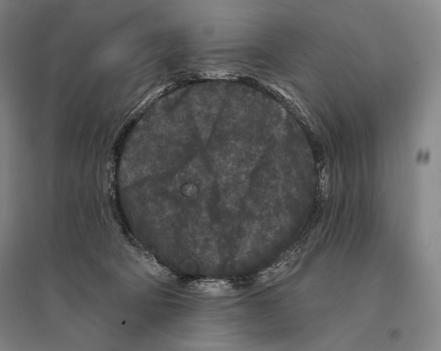 X0000095510322200801111419