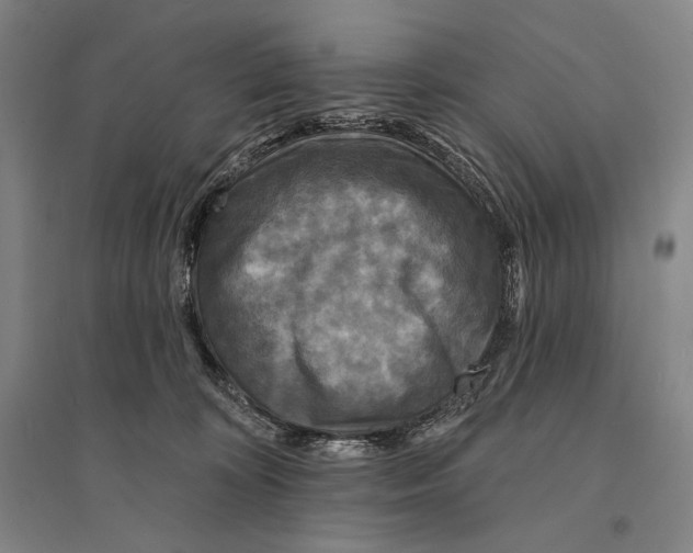 X0000095510324200801111419
