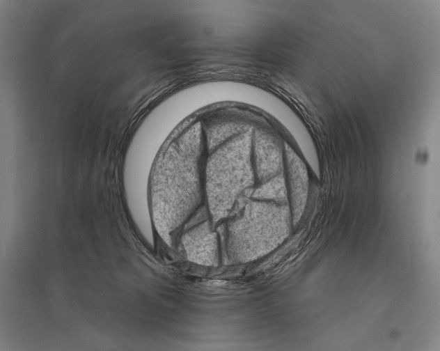 X0000095510325200801111419