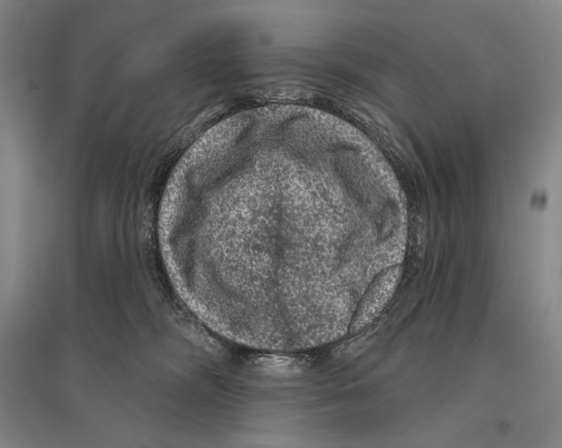 X0000095510326200801111419