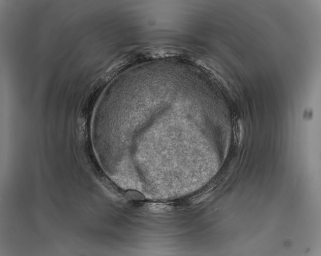 X0000095510327200801111419