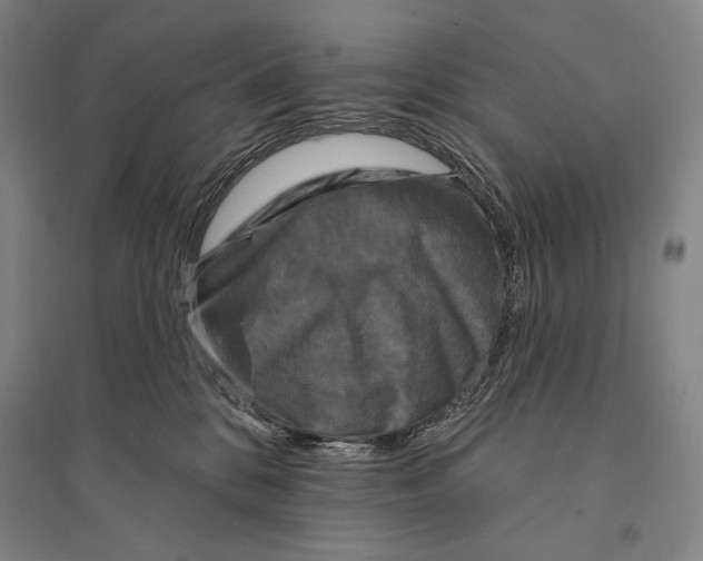 X0000095510328200801111419