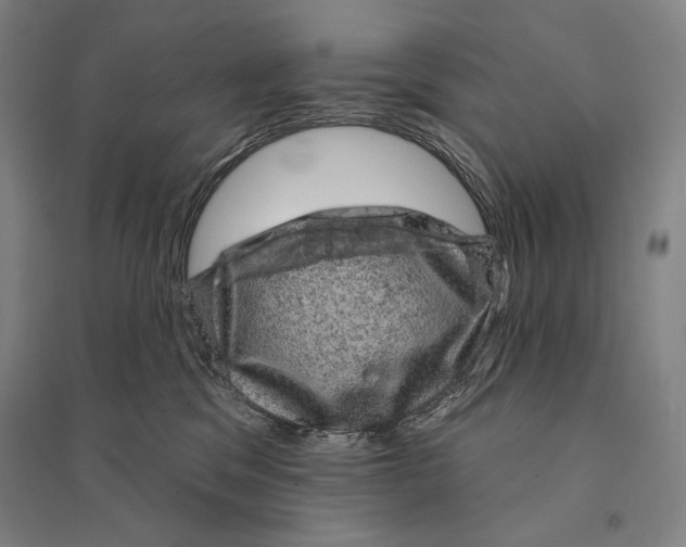 X0000095510329200801111419