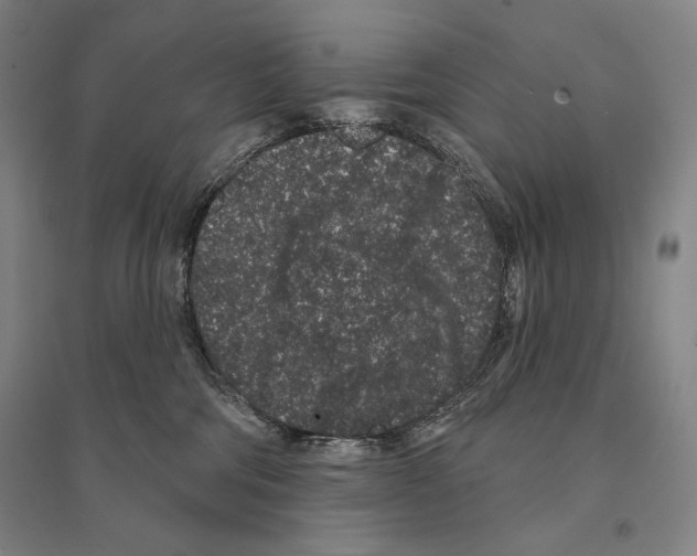 X0000095510330200801111419
