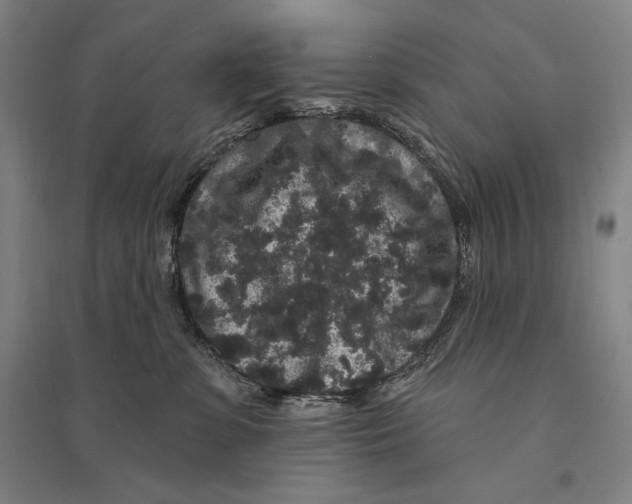 X0000095510331200801111419