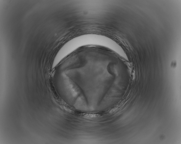 X0000095510332200801111419