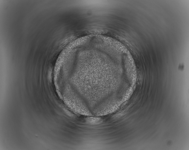 X0000095510334200801111419