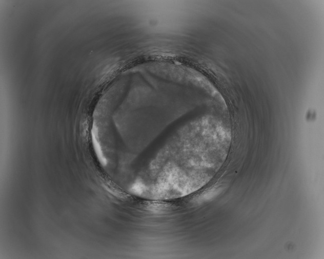 X0000095510336200801111418