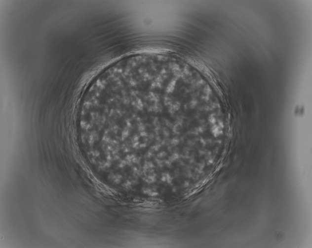 X0000095510337200801111418