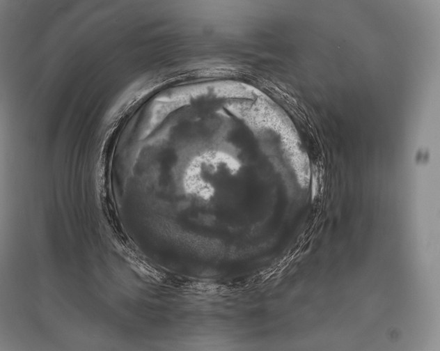 X0000095510339200801111418