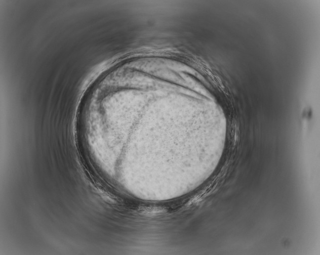 X0000095510340200801111418