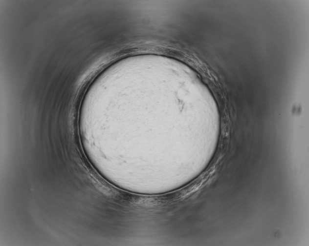 X0000095510341200801111418