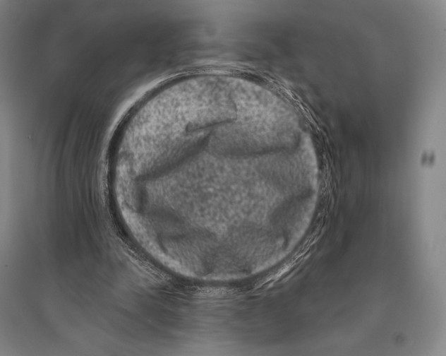 X0000095510342200801111418