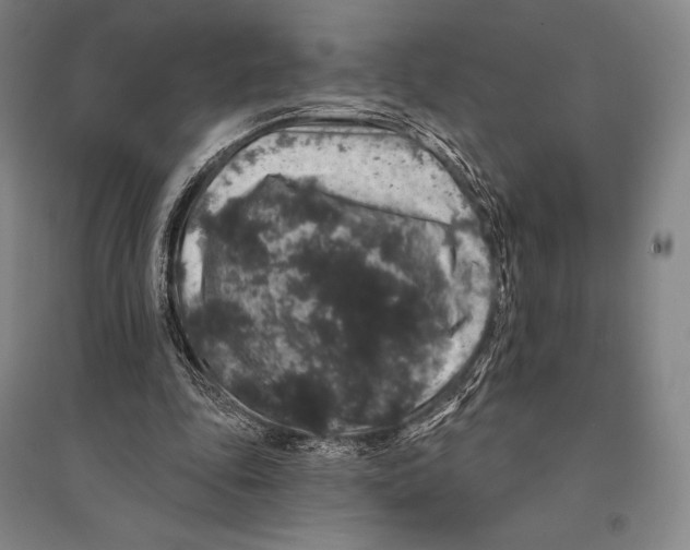 X0000095510343200801111418