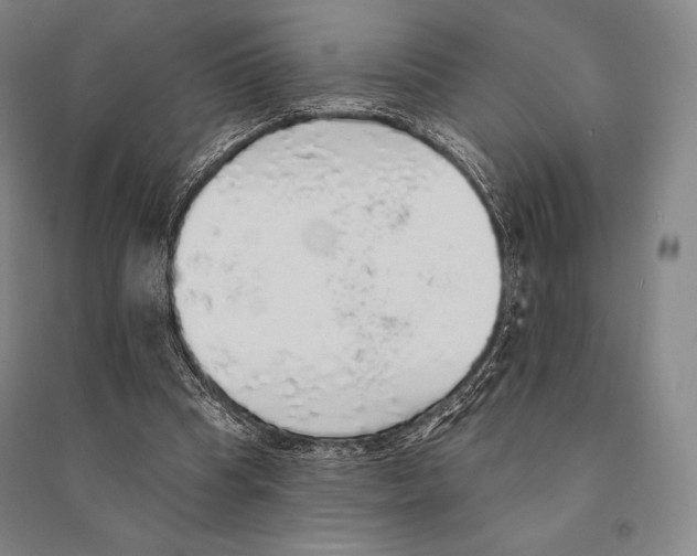 X0000095510345200801111418