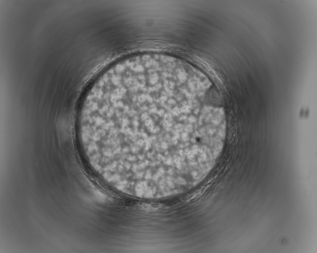 X0000095510346200801111418