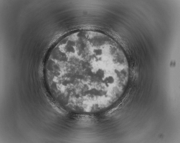 X0000095510347200801111418