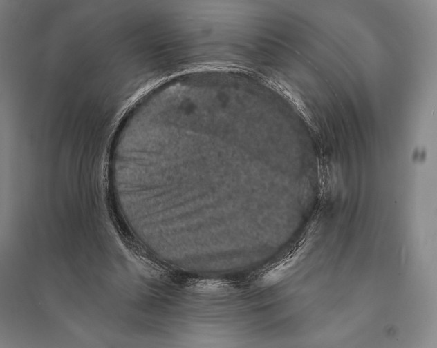 X0000095510348200801111418