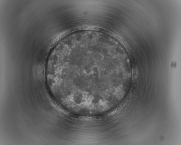 X0000095510349200801111418