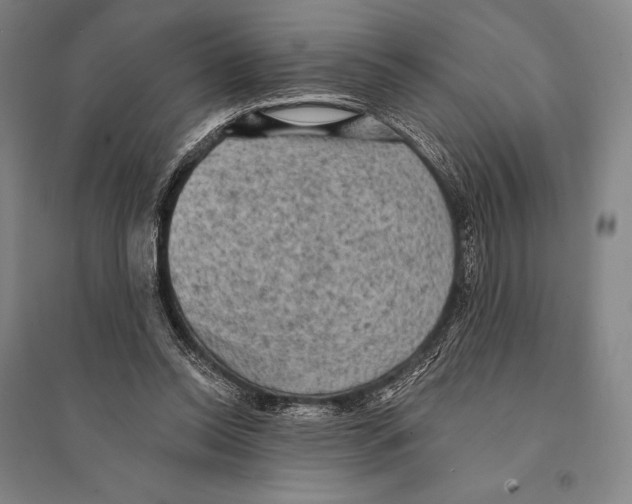 X0000095510350200801111418