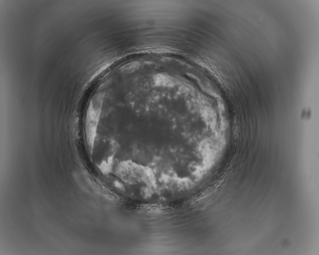 X0000095510351200801111418
