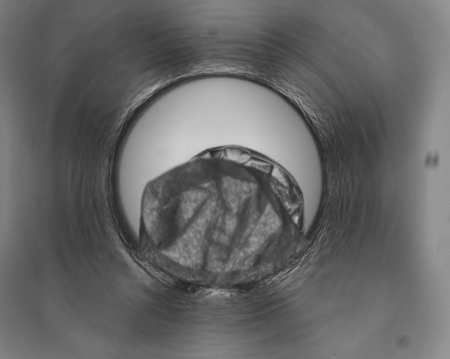 X0000095510352200801111418