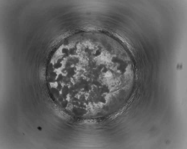 X0000095510353200801111418