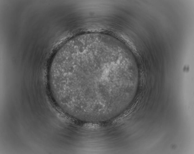 X0000095510354200801111418
