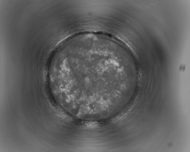 X0000095510355200801111418