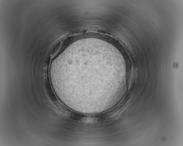 X0000095510356200801111418