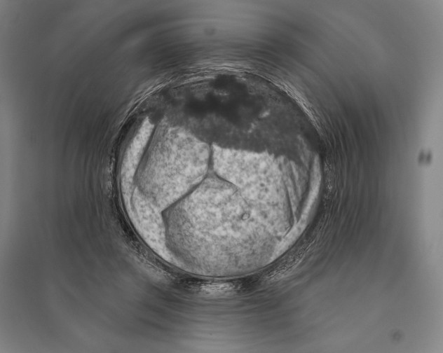 X0000095510357200801111418