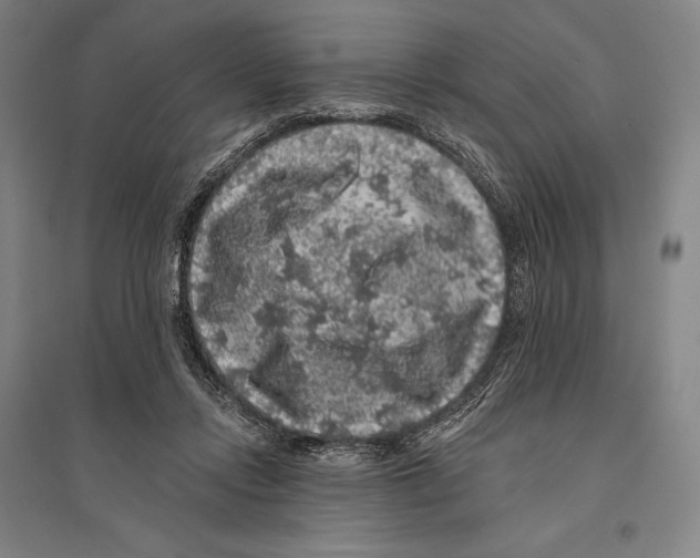 X0000095510358200801111418