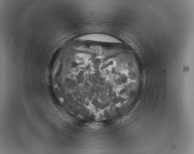 X0000095510359200801111418