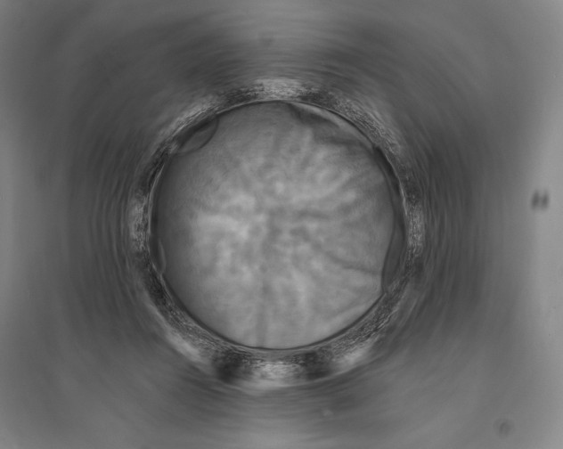 X0000095510360200801111418