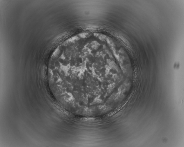 X0000095510361200801111418