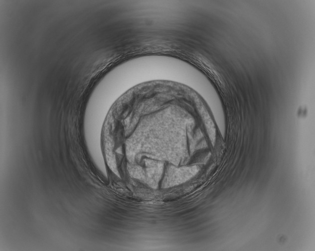 X0000095510362200801111418