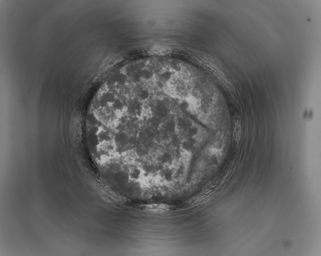 X0000095510363200801111418