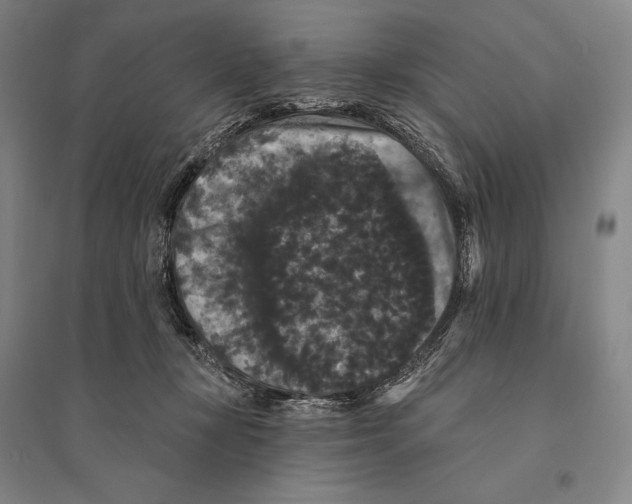 X0000095510367200801111418