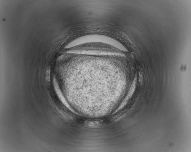 X0000095510368200801111418