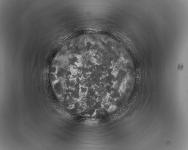X0000095510369200801111418