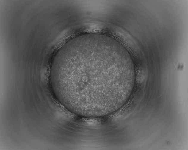 X0000095510370200801111418