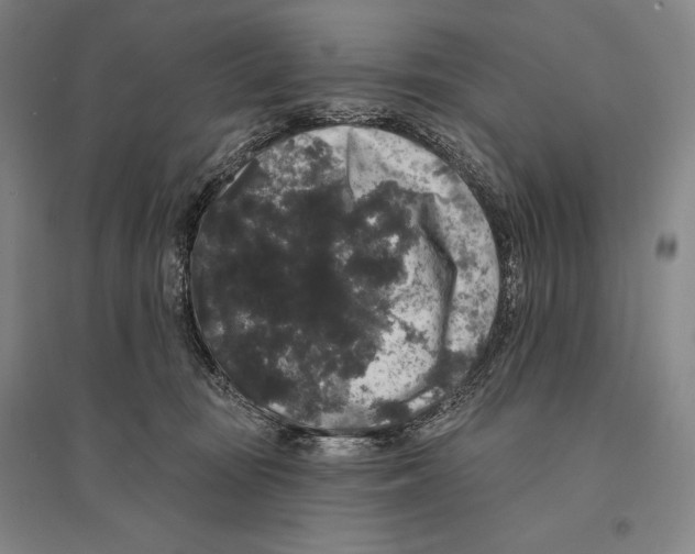 X0000095510371200801111418