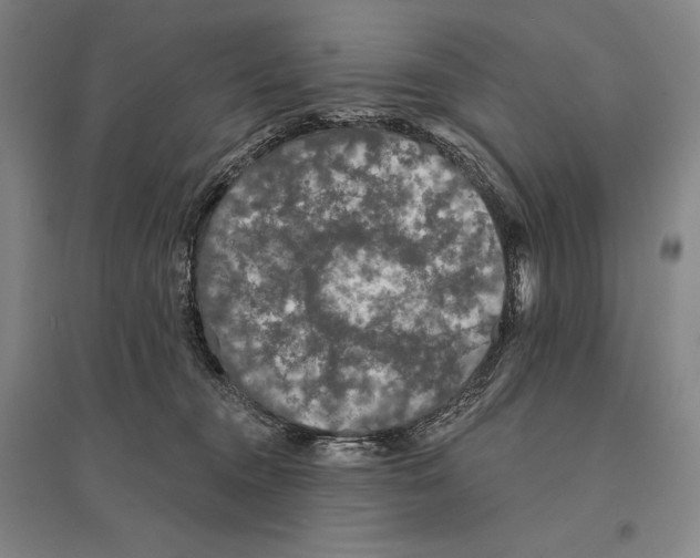 X0000095510372200801111418