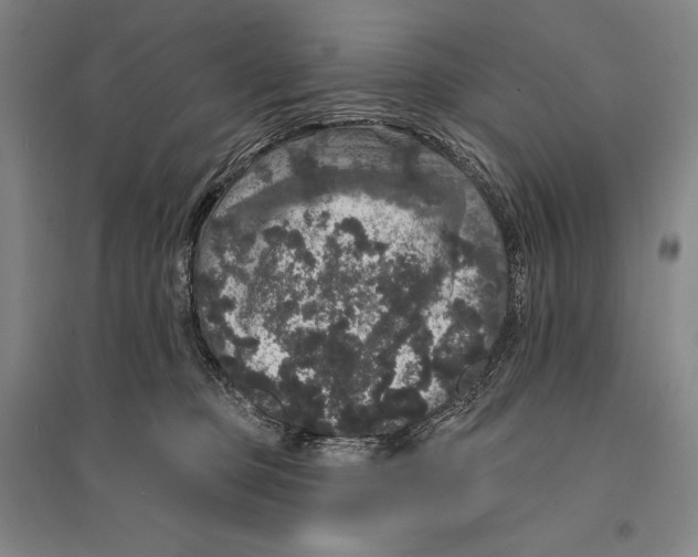 X0000095510373200801111418