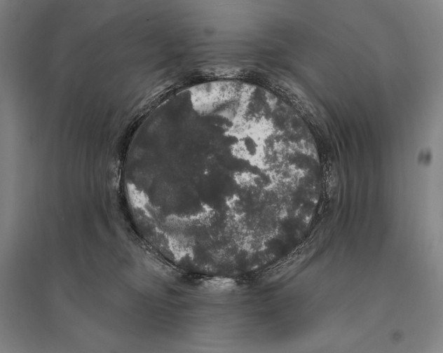 X0000095510374200801111418