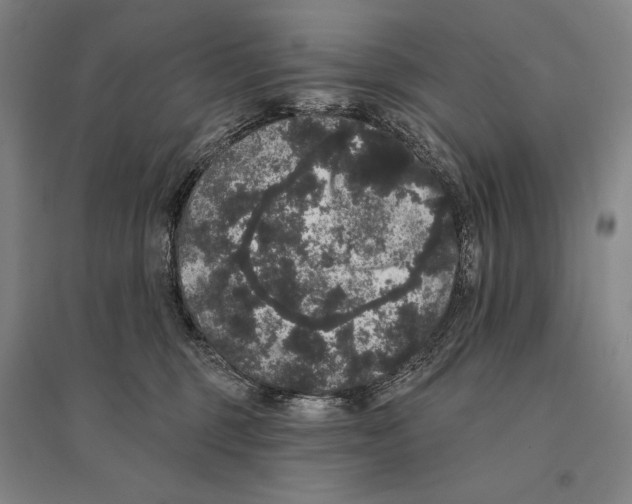 X0000095510375200801111418