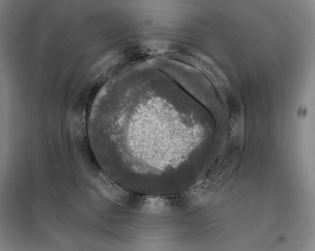 X0000095510376200801111418