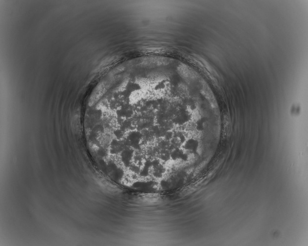 X0000095510377200801111418