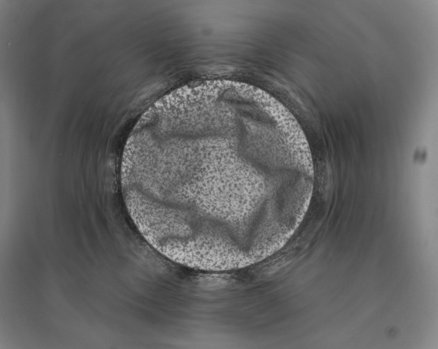 X0000095510378200801111418
